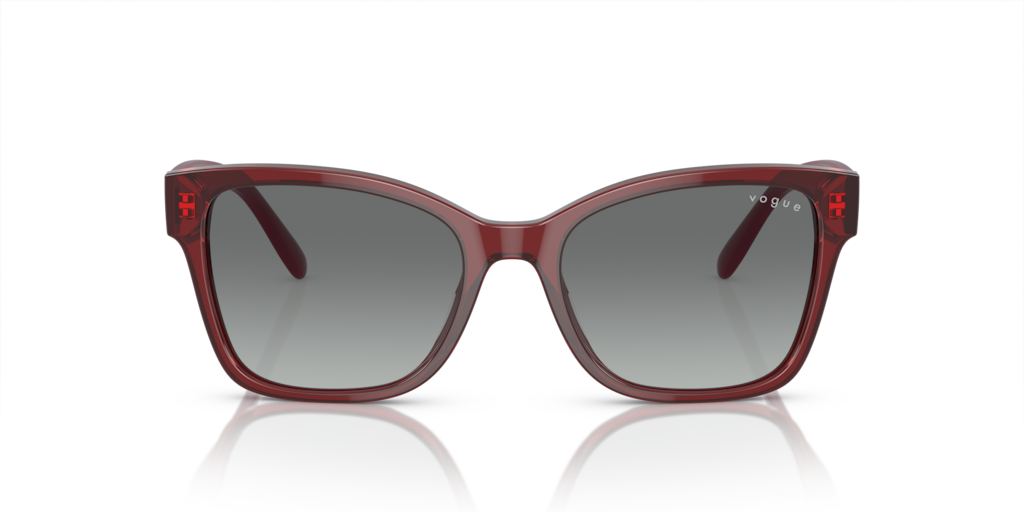 Vogue VO5534SI 292411