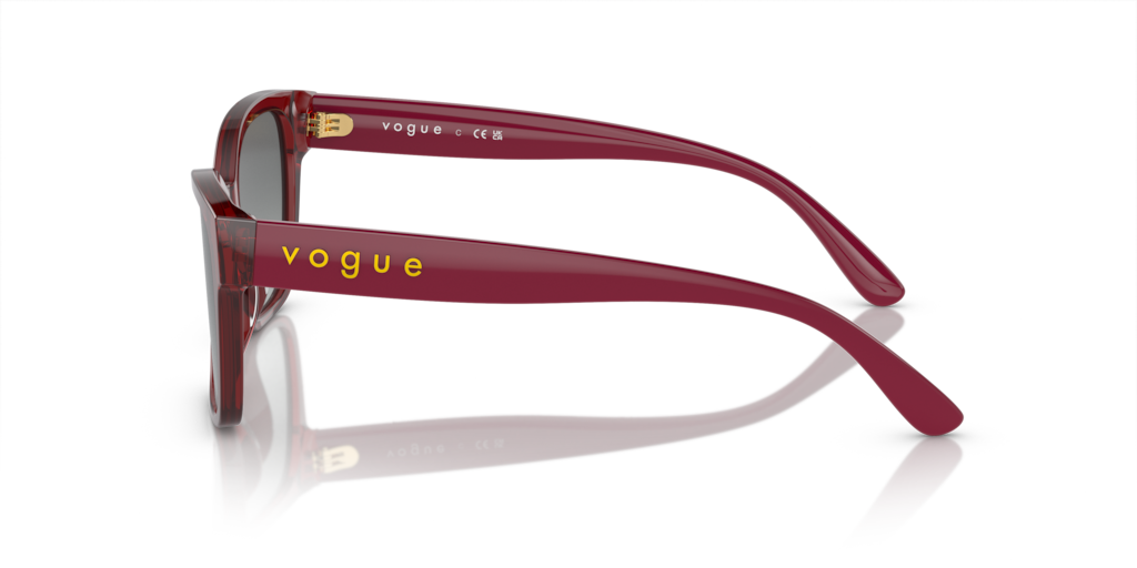 Vogue VO5534SI 292411