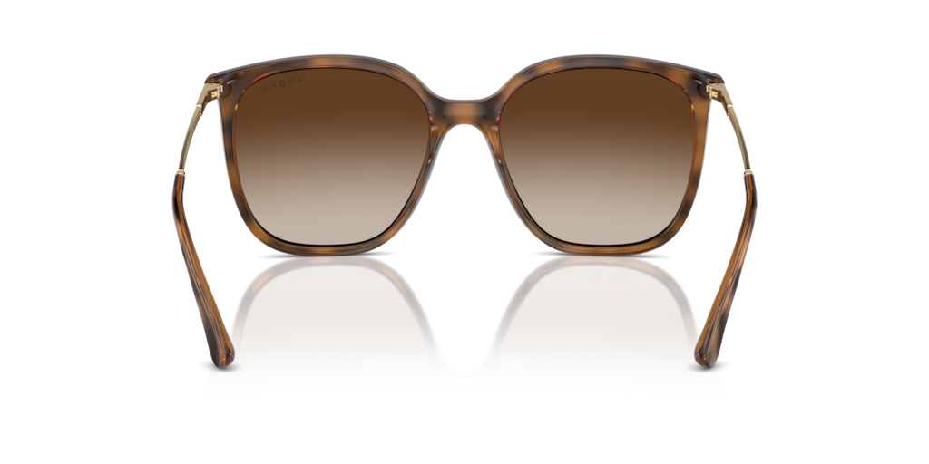 Vogue VO5564S 238613