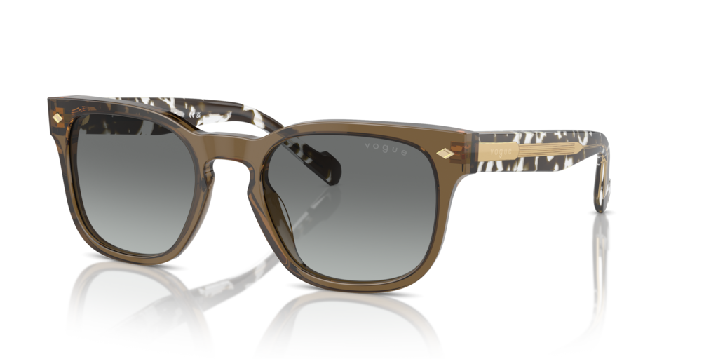 Vogue VO5571S
