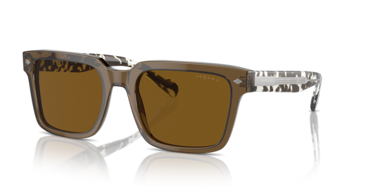 Vogue VO5573S