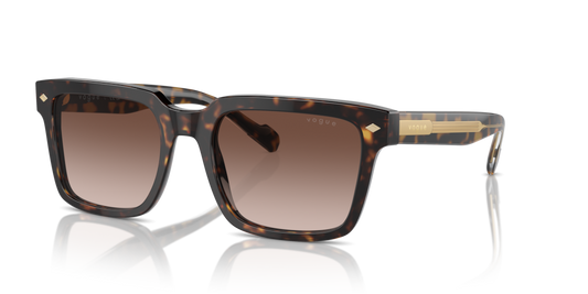 Vogue VO5573S