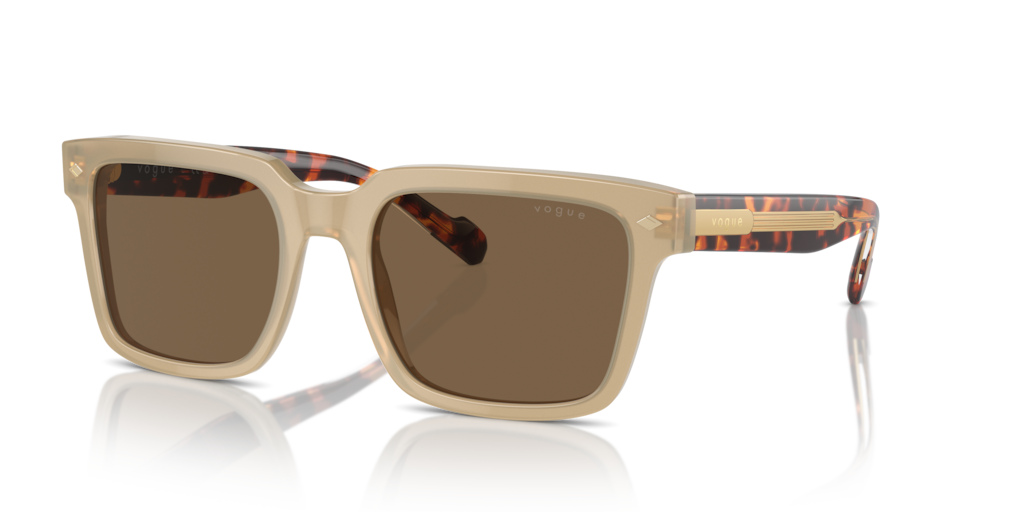 Vogue VO5573S