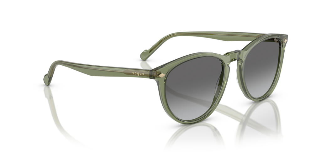 Vogue VO5599S 318711