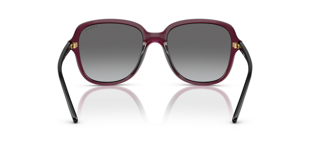 Vogue VO5601S 298911