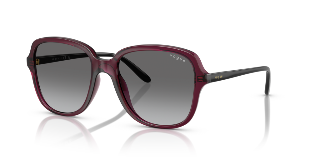 VO5601S