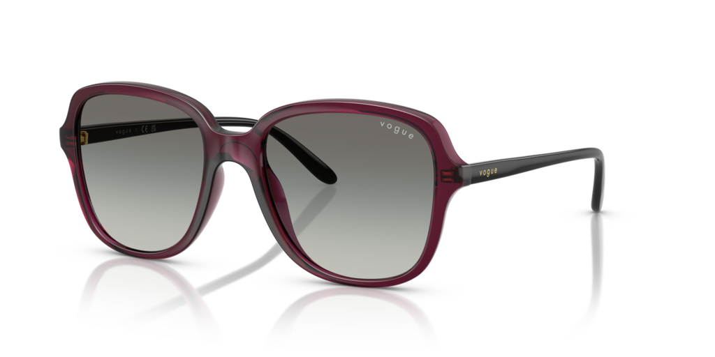 VO5601S