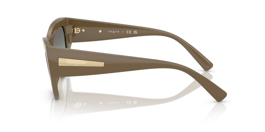 Vogue VO5607S 317511