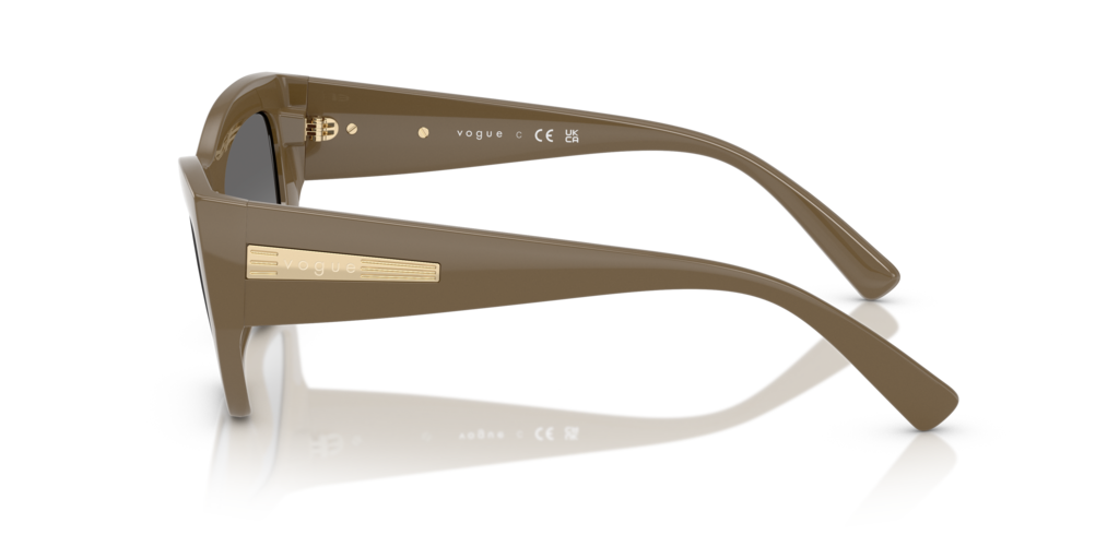 Vogue VO5607S 317511