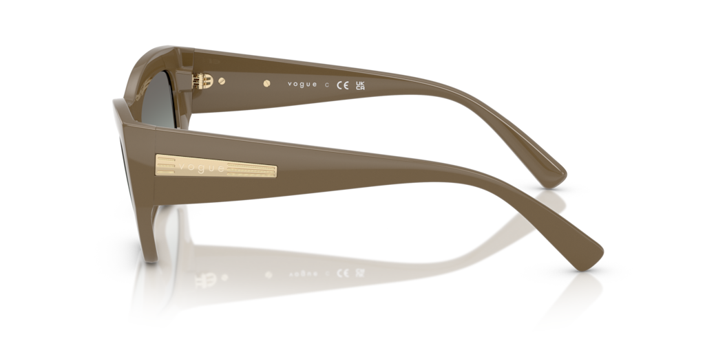 Vogue VO5607S 317511