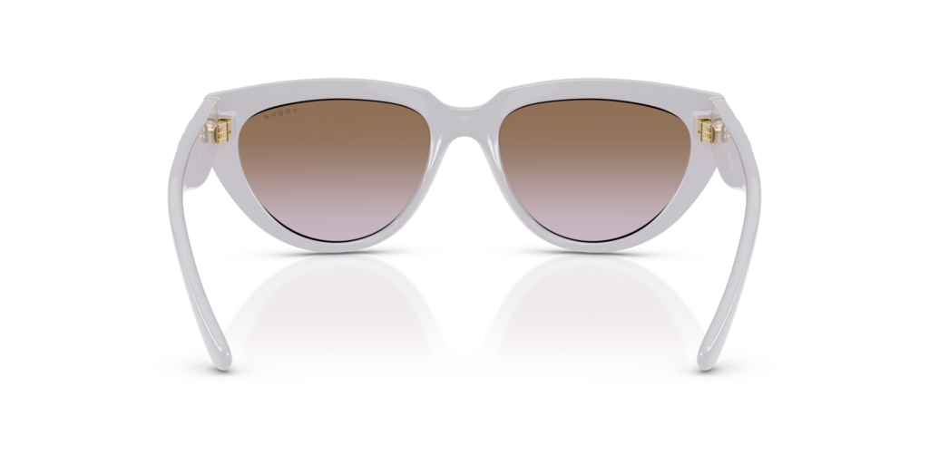 Vogue VO5629S 319368