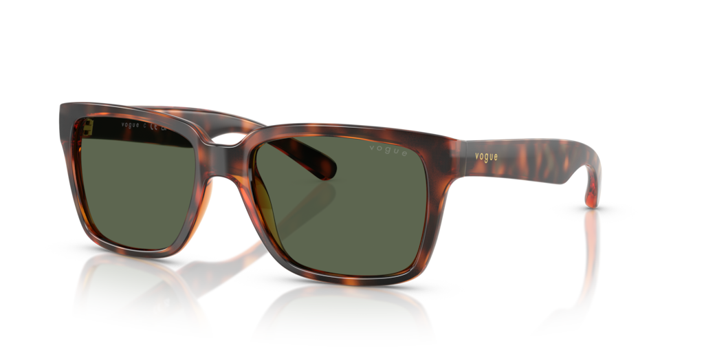 Vogue VO5648SI