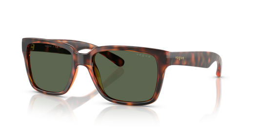 Vogue VO5648SI