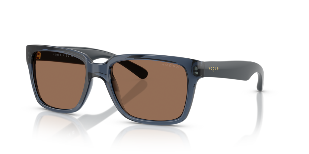 Vogue VO5648SI