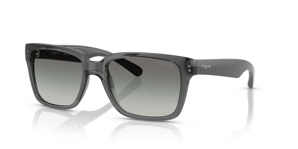 Vogue VO5648SI