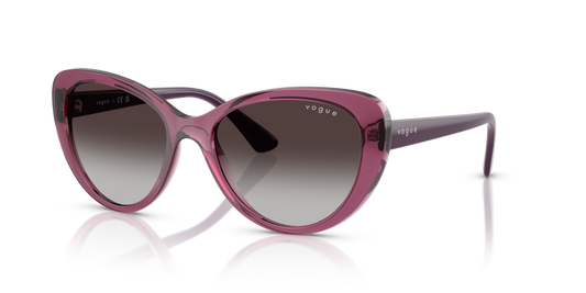 Vogue VO5649SI
