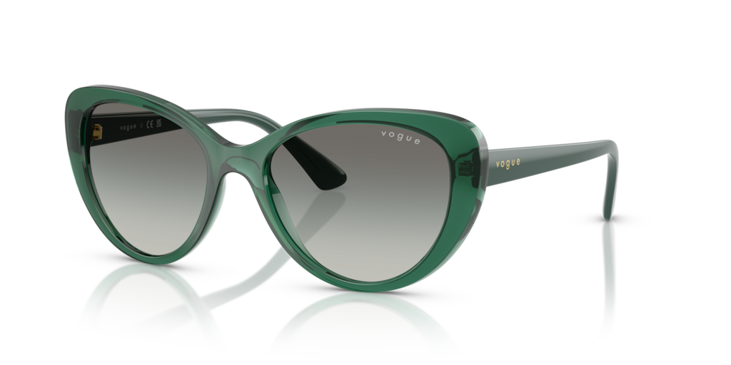 Vogue VO5649SI