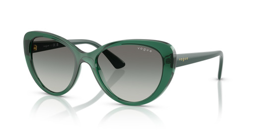 Vogue VO5649SI