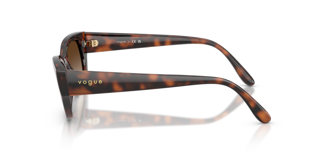 Vogue VO5669S 271813