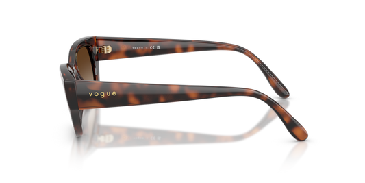 Vogue VO5669S 271813