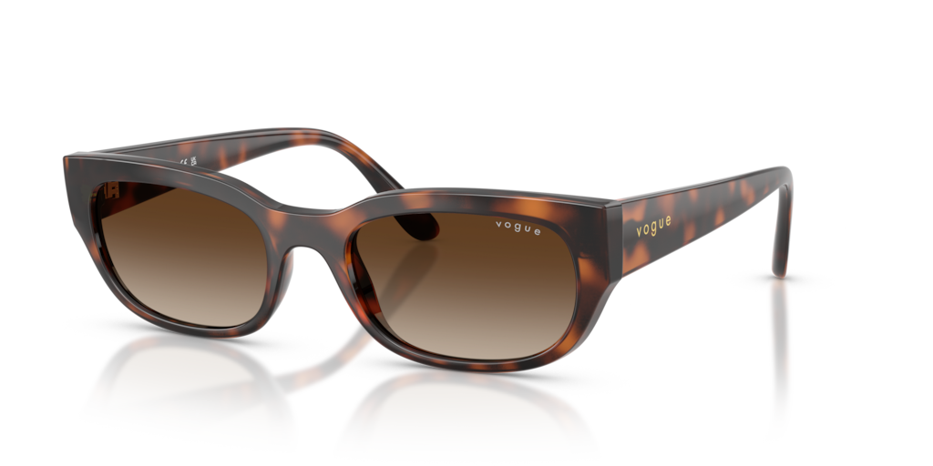 Vogue VO5669S