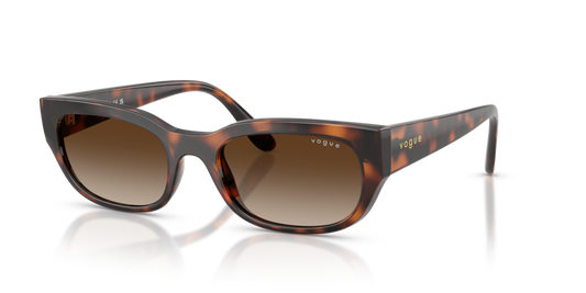 Vogue VO5669S