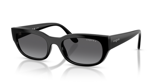 Vogue VO5669S