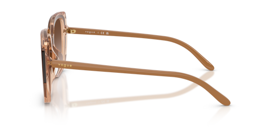 Vogue VO5684SD 318113