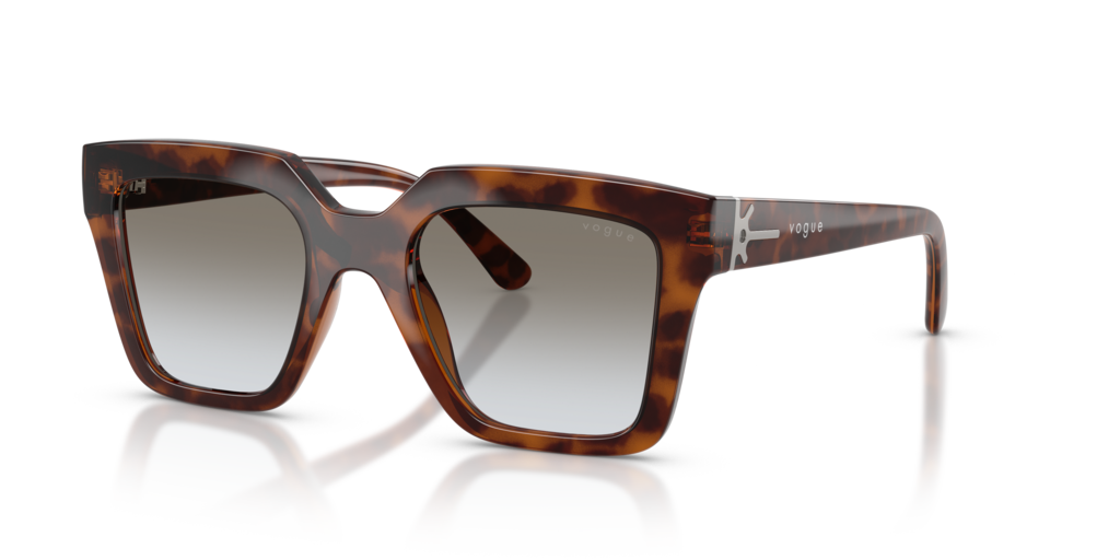 Vogue VO5690S