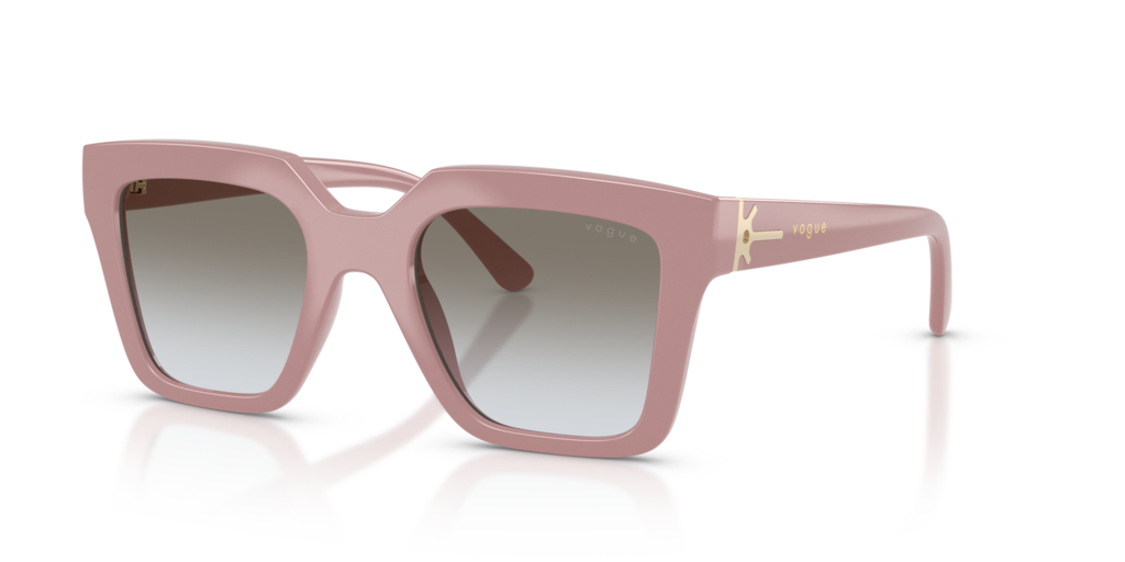 Vogue VO5690S