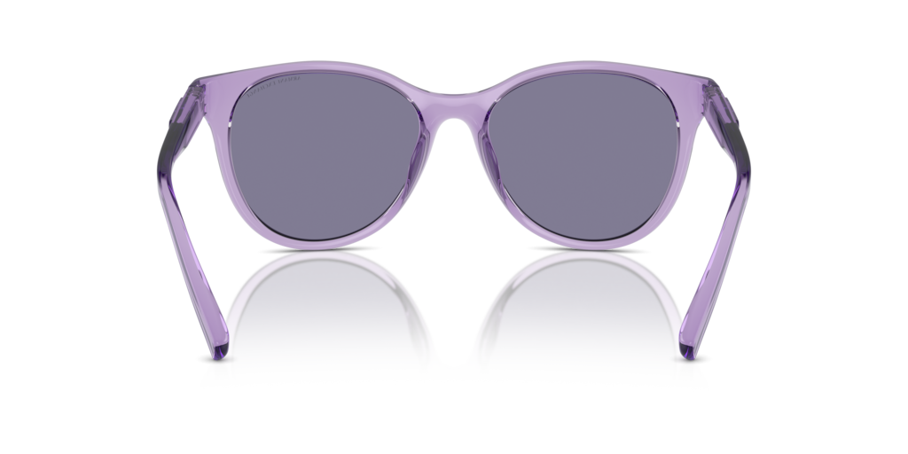 Armani Exchange AX4144SU 82361U - 54 - Güneş Gözlükleri