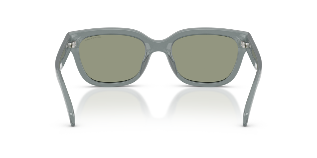 Armani Exchange AX4155SU 8375/2 - 54 - Güneş Gözlükleri