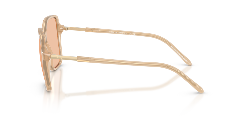 Armani Exchange AX4163S 836673 - 53 - Güneş Gözlükleri
