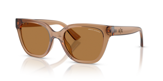 Armani Exchange AX4164SU 839673 - 53 - Güneş Gözlükleri