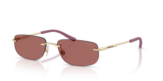 Arnette AN3096 748/69 - 55 - Güneş Gözlükleri