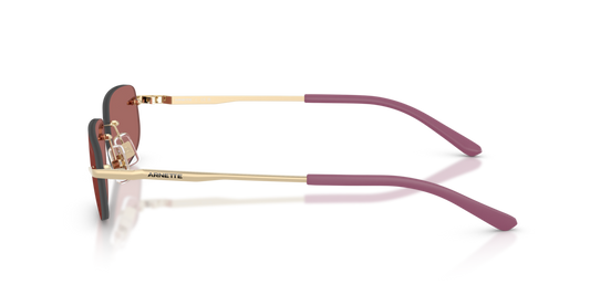 Arnette AN3096 748/69 - 55 - Güneş Gözlükleri