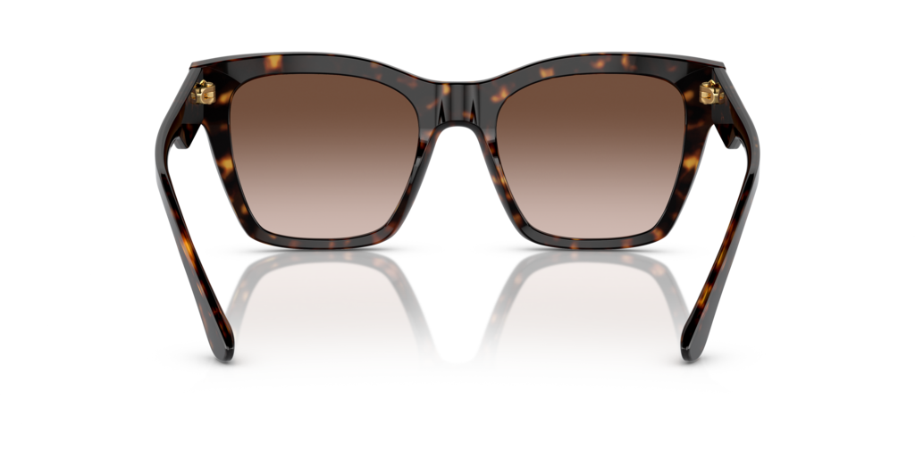 Dolce & Gabbana DG4384 502/13 - 53 - Güneş Gözlükleri
