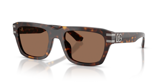 Dolce & Gabbana DG4496 502/73 - 54 - Güneş Gözlükleri