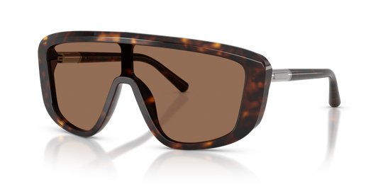 Dolce & Gabbana DG4520 502/73 - 28 - Güneş Gözlükleri