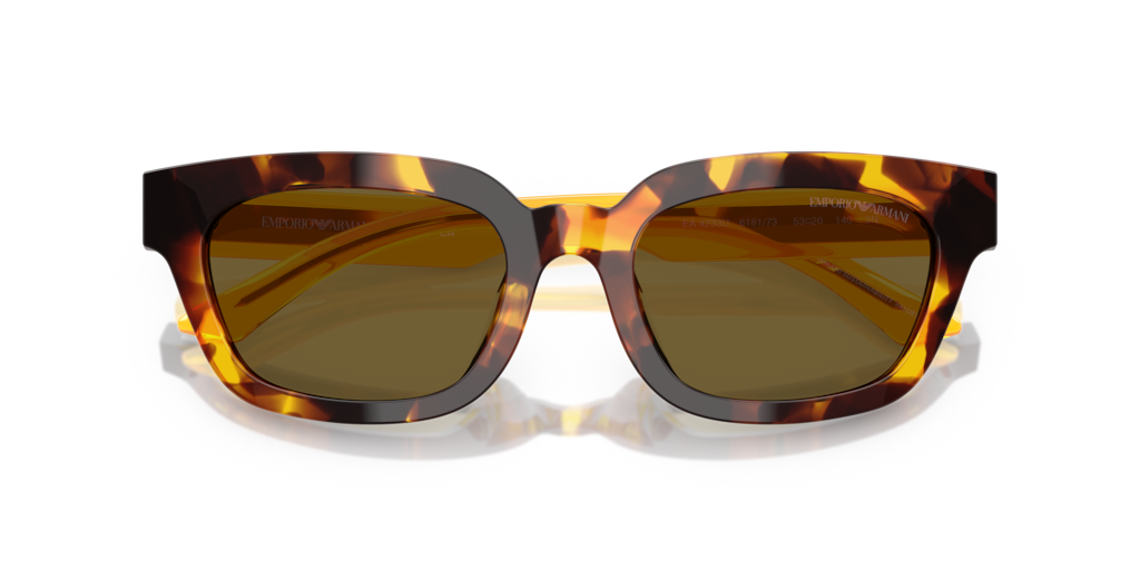Emporio Armani EA4233U 618173 - 53 - Güneş Gözlükleri