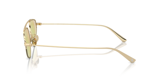 Ferrari FH1010TD 302/8N - 58 - Güneş Gözlükleri