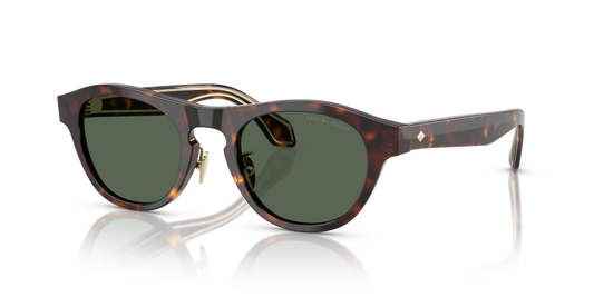 Giorgio Armani AR8225 502671 - 49 - Güneş Gözlükleri