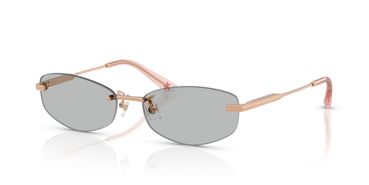 Jimmy Choo JC4013D 300887 - 57 - Güneş Gözlükleri