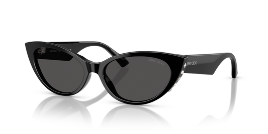 Jimmy Choo JC5023H 500087 - 55 - Güneş Gözlükleri