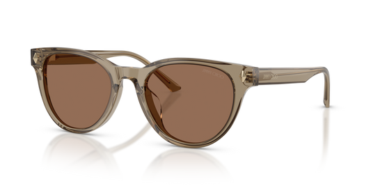 Jimmy Choo JC5043D 505173 - 53 - Güneş Gözlükleri