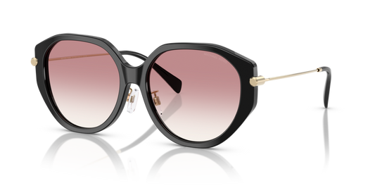 Michael Kors MK2248D 30058D - 56 - Güneş Gözlükleri