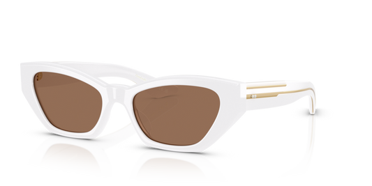 Oliver Peoples OV5582SU 176073 - 53 - Güneş Gözlükleri