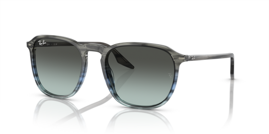 Ray-Ban RB2203 1391GK - 52 - Güneş Gözlükleri
