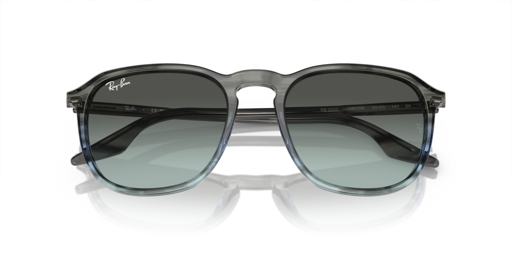 Ray-Ban RB2203 1391GK - Güneş Gözlükleri