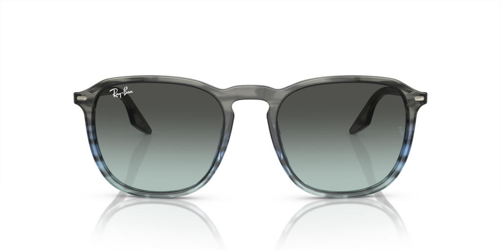 Ray-Ban RB2203 1391GK - Güneş Gözlükleri